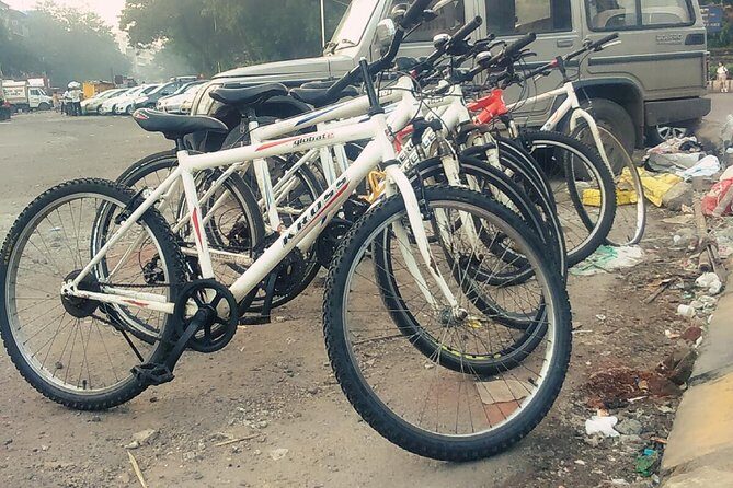 Best Bicycle Tour In Mumbai - Chhatrapati Shivaji Terminus (Victoria Terminus) and the Victorian Gothic Look