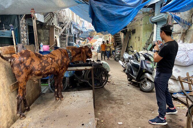 Dharavi Slum Tour in Mumbai with Combo Packages & Transfers - What you learn: economics, culture, and the small-business logic