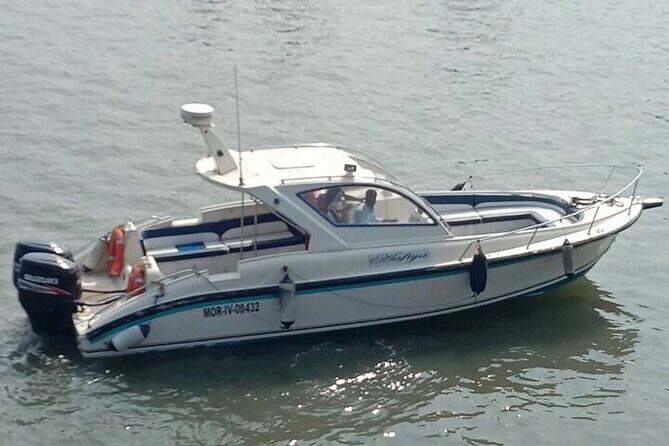 Elephanta Caves Tour by Private Speed Boat - Should you book the Elephanta Caves Private Speed Boat Tour?