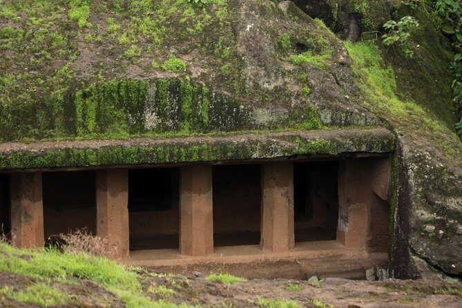 Kanheri Caves and Sanjay Gandhi National Park - Sanjay Gandhi National Park: your safari window after the caves