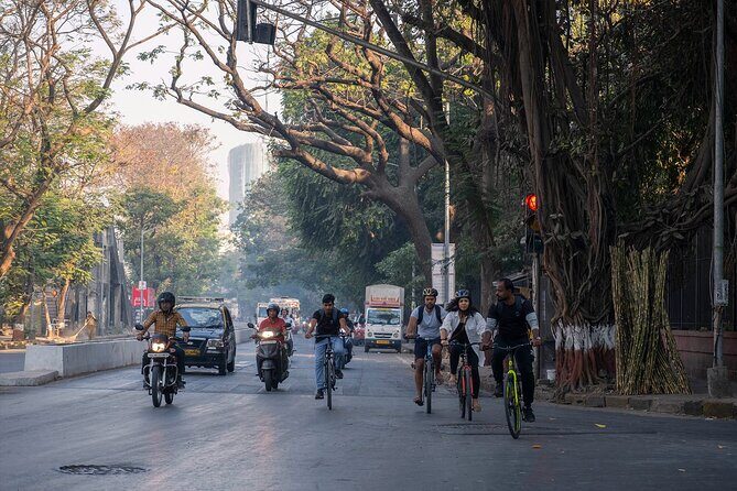 Mumbai Bicycle Tour - Marine Drive (3 km) on a bike: calm views right when you need them