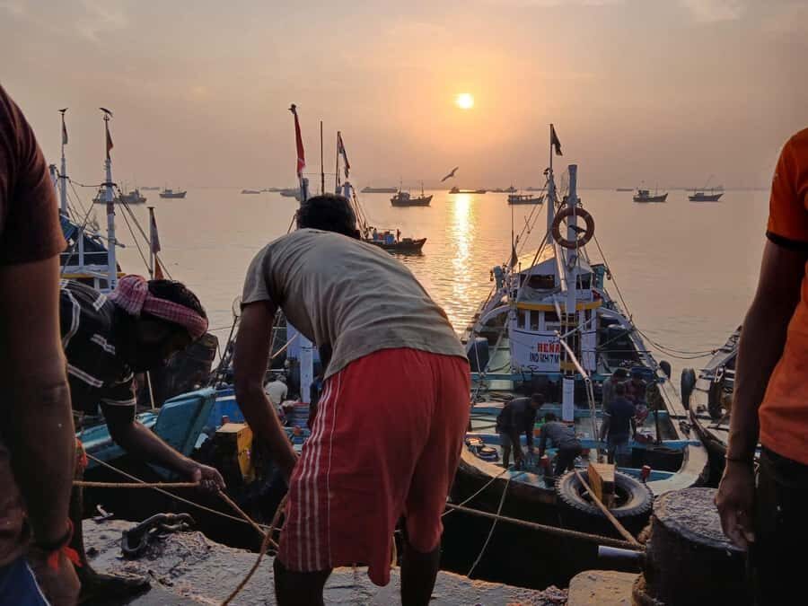 Mumbai City At Dawn, Visit the Unexplored Spots. - Sassoon Dock: Fish Auction Energy at Mumbai’s Old Harbor