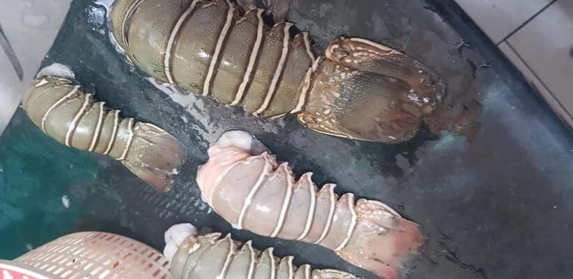 Mumbai Coastal Cooking: From Fishing Net to Flavourful Plate - The Beach Stop Where You See Nets in Action