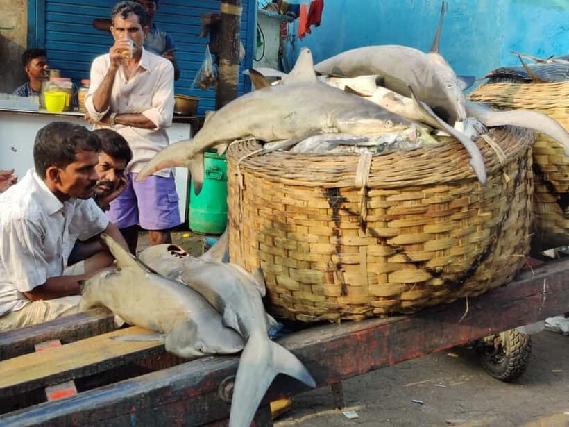 Mumbai Coastal Cooking: From Fishing Net to Flavourful Plate - Price and Time: Is $21 a Good Deal for This Kind of Meal Lesson?