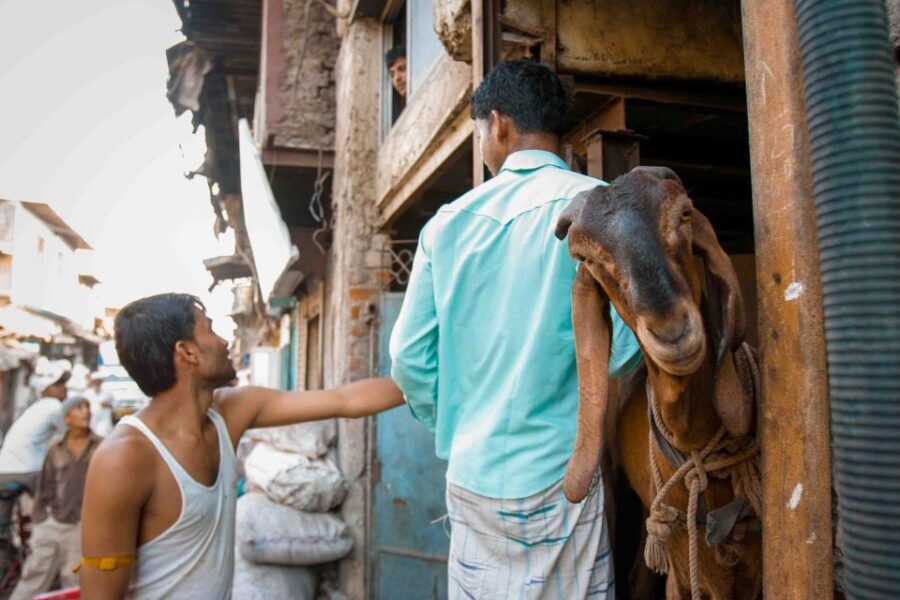 Mumbai: Dharavi Tour Including Car Transfer - Booking value: why $39 can make sense for this 4.5 hours