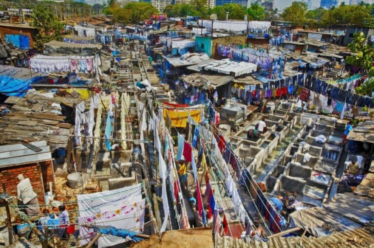 Mumbai: Full-Day Sightseeing Tour of Mumbai - Price and value: is about $24 actually a bargain?