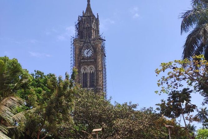 Mumbai Heritage Walking Tour of Colaba and Fort - Step-by-Step: What to Expect at Each Stop