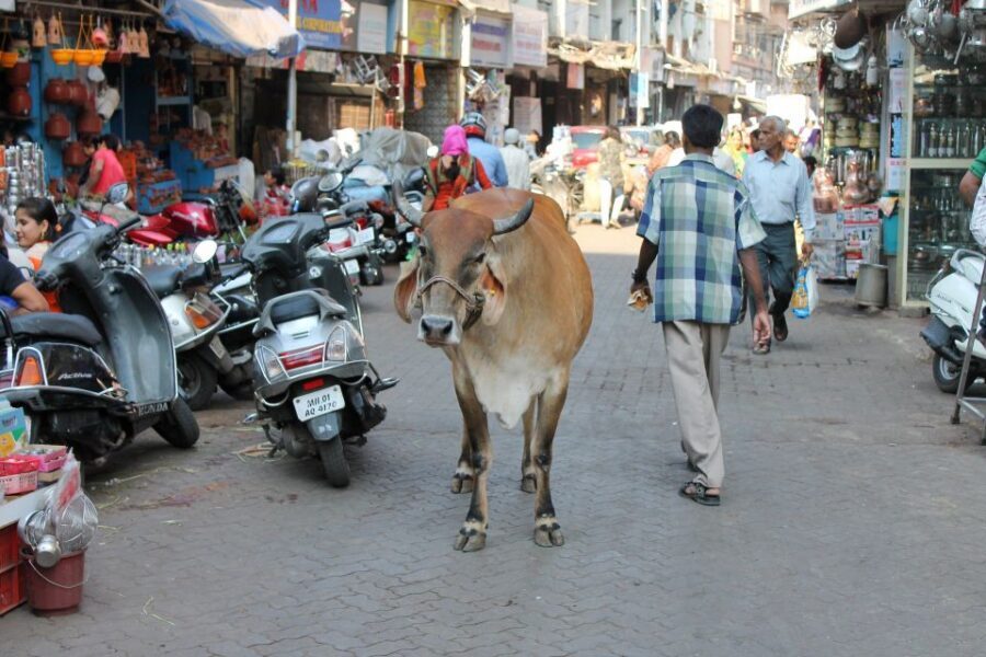 Mumbai Hidden Gems : Early Morning Tour with Expert Guide - How the AC pickup-and-drop changes the whole day