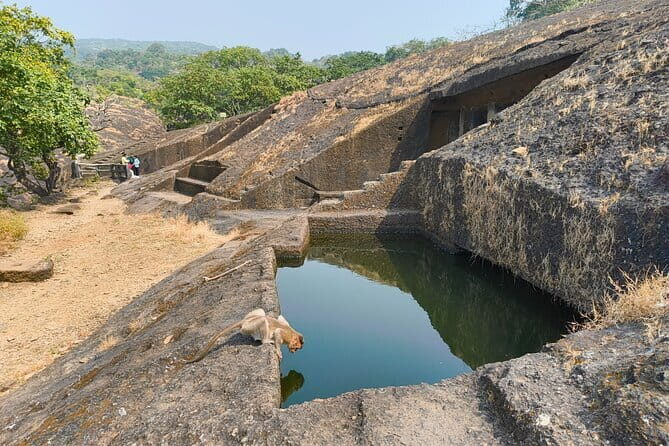 Mumbai Kanheri Caves & Golden Pagoda – A Buddhist Settlement - Price and value: what $23 actually covers