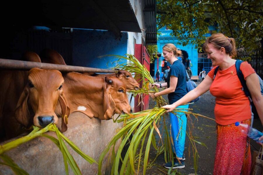 Mumbai: Local Markets & Temples Tour - Mumbadevi Temple: The Namesake Moment for Mumbai