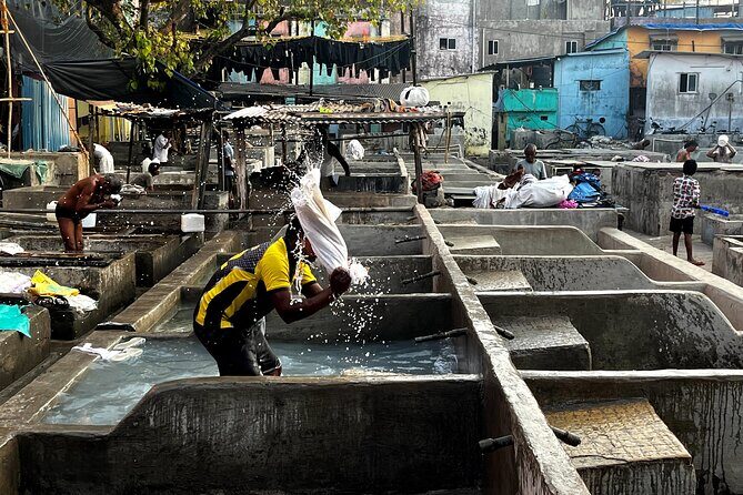 Mumbai Morning Market Tour of Flowers, Fish, and More - What About Time and Pace (3 Hours Can Still Feel Full)