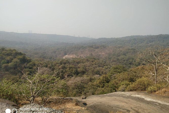 Private Kanheri- Buddhist Cave Tour - What to expect on the ground: walking, pace, and photo reality