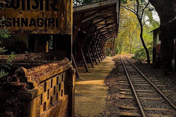 Sanjay Gandhi National Park and Kanheri Caves Day Private Tour - Price and Logistics: Is $90 Good Value?