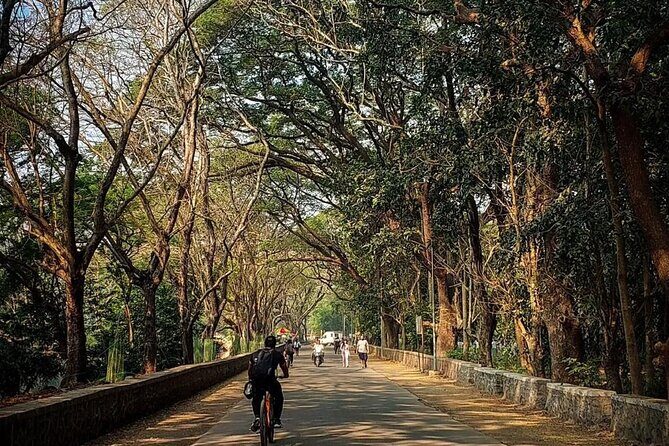 Sanjay Gandhi National Park and Kanheri Caves Day Private Tour - What Makes the Tour Experience Better: Kavita and Deebak