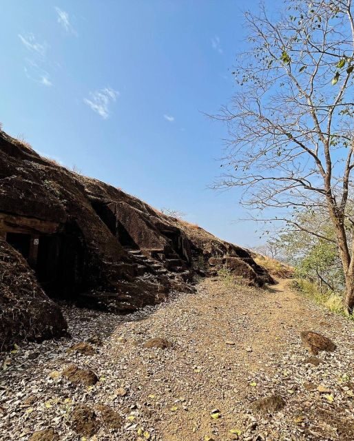Sanjay Gandhi National Park + Kenheri Caves + Lion Safari - Why Sanjay Gandhi National Park Feels Like a Real Break