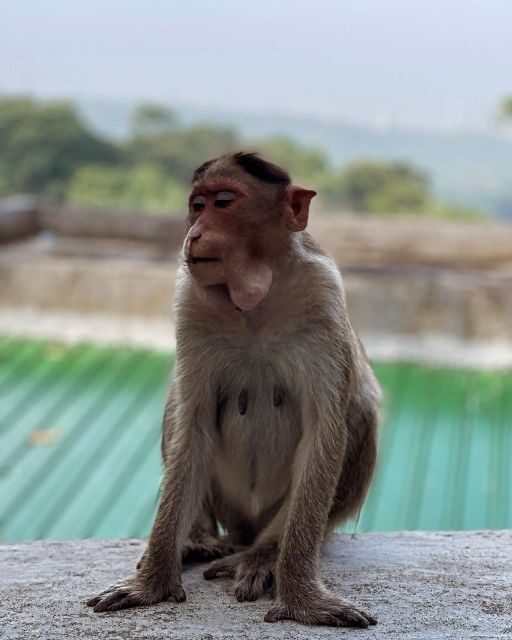 Sanjay Gandhi National Park + Kenheri Caves + Lion Safari - Jain Temple Time: A Calm Pause You’ll Actually Notice