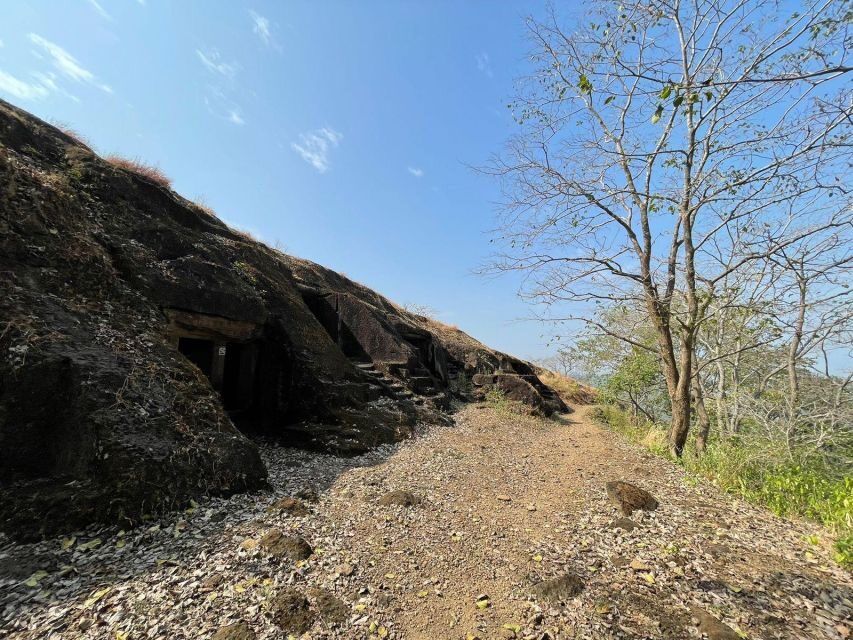 Sanjay Gandhi National Park + Kenheri Caves + Lion Safari - River Boat and Vipassana Pagoda: Short, Scenic, and Often a Bit Spiritual
