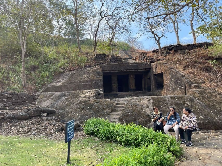 Sanjay Gandhi National Park + Kenheri Caves + Lion Safari - Lion Safari: The Main Event (And How to Make It Count)