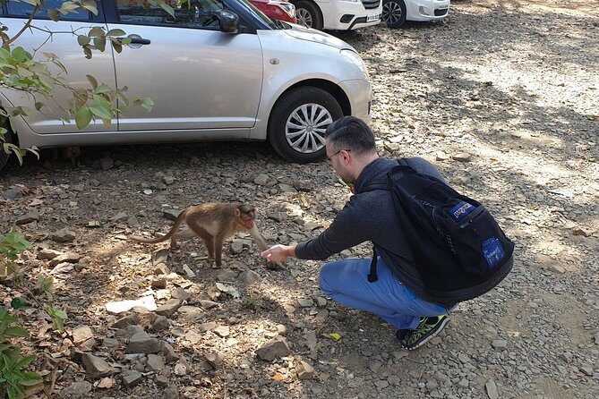 Sanjay Gandhi National Park(SGNP) + Kenheri Caves + Lion Safari + Jain Temple - Practical tips that make a difference